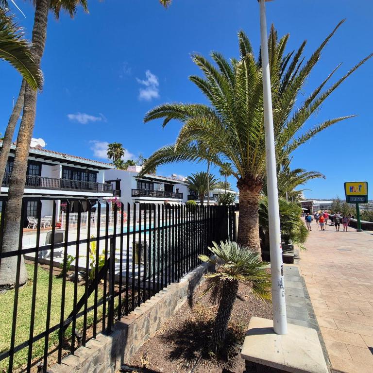 8i Ocean Front Playa 4 - Two-Bedroom Apartment - 19