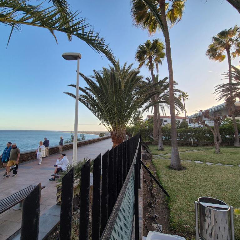 8i Ocean Front Playa 4 - Two-Bedroom Apartment - 21