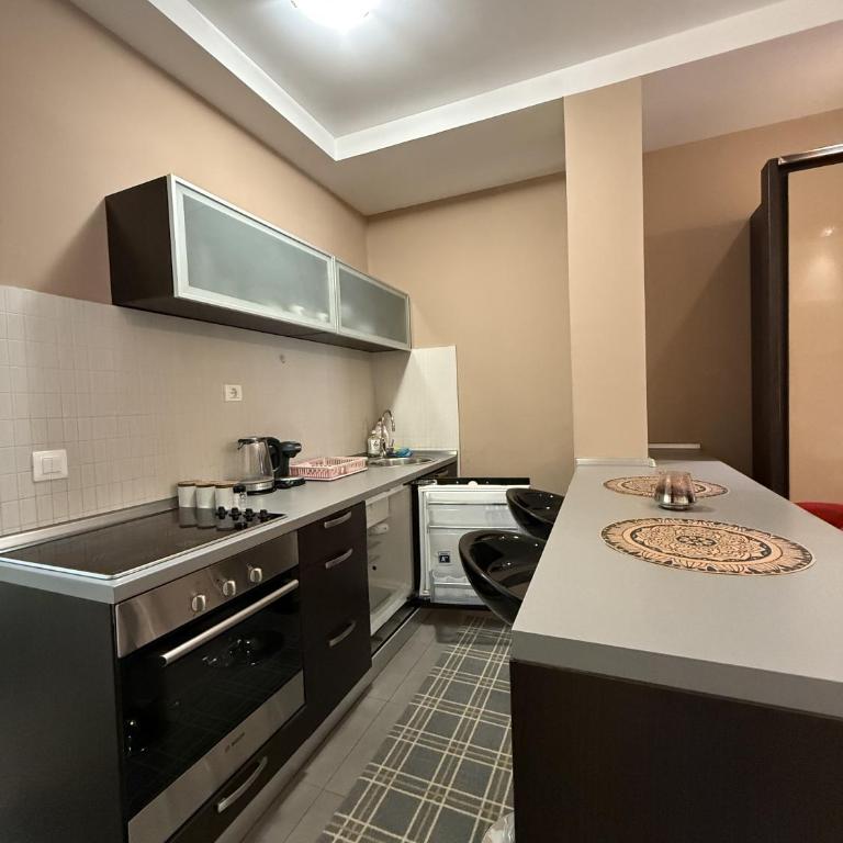 Splendid Luxury Apartments - Deluks Apartman s 1 Spavaćom Sobom i Pogledom na Vrt - 6