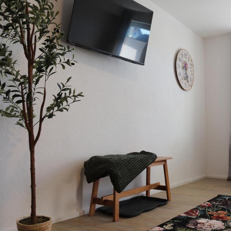 Ferienwohnungen Am Bach - Apartment mit Dusche - 19