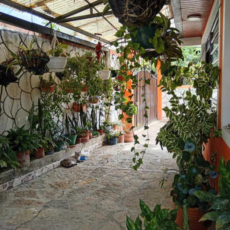 La Villa de Victor - Casa de 5 dormitorios - 6