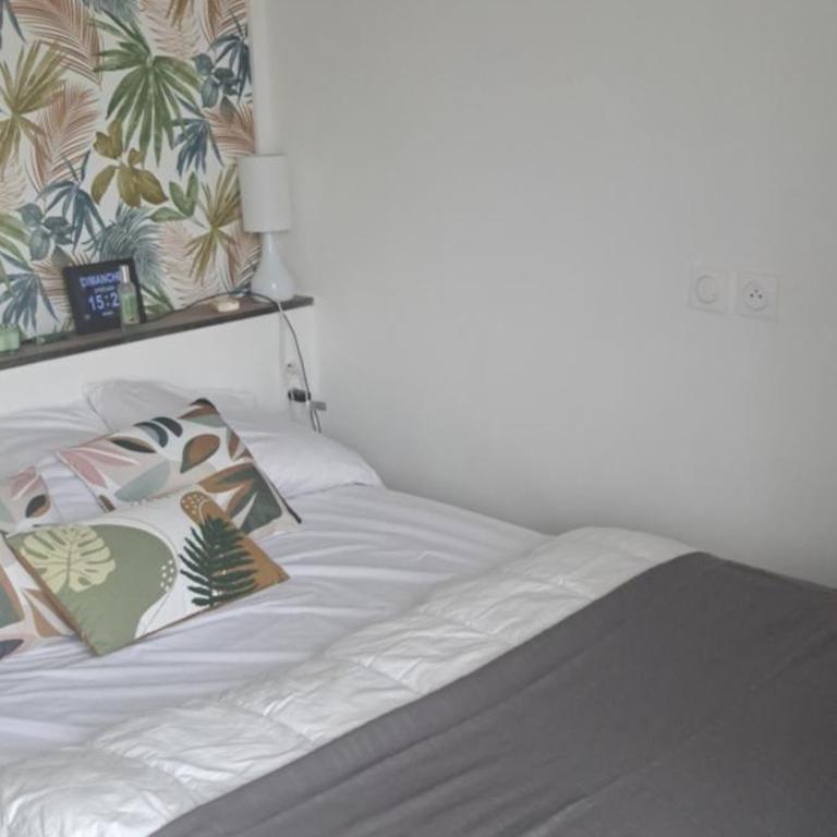 Bien orienté frais et très agréable en cette fin d été dernières disponibilités sur 2026 - Apartment mit 2 Schlafzimmern - 20