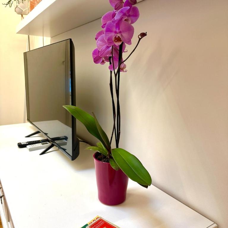 La Gatta sul tetto - Two-Bedroom Apartment - 24