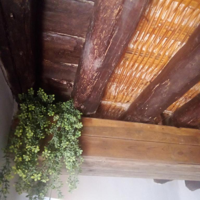 Casa VIDOSA y Casa MAILO unidas - Casa con 6 Camere da Letto - 36