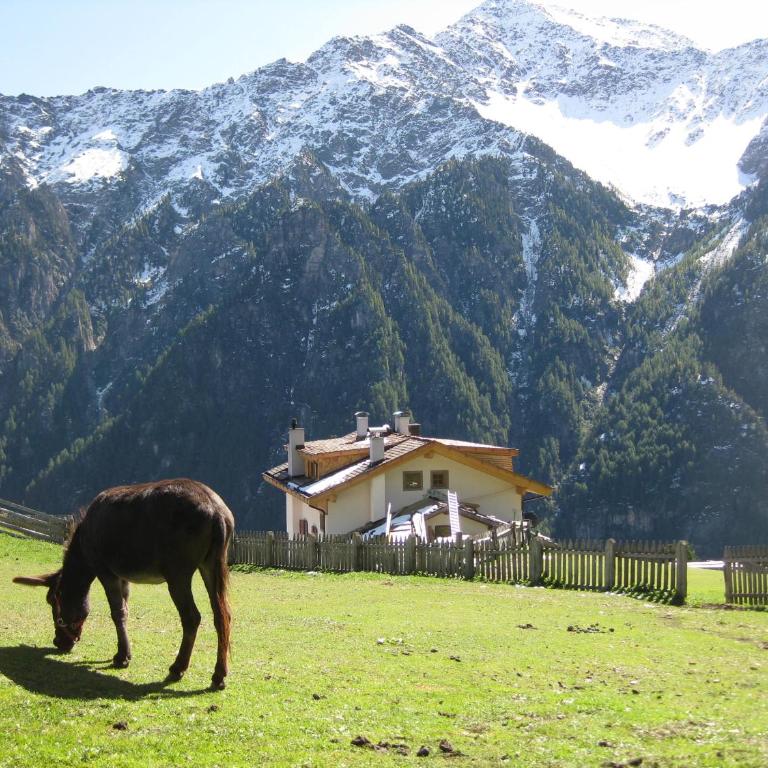 Berggasthof Stallwies - Habitación Doble con vistas a la montaña - 18