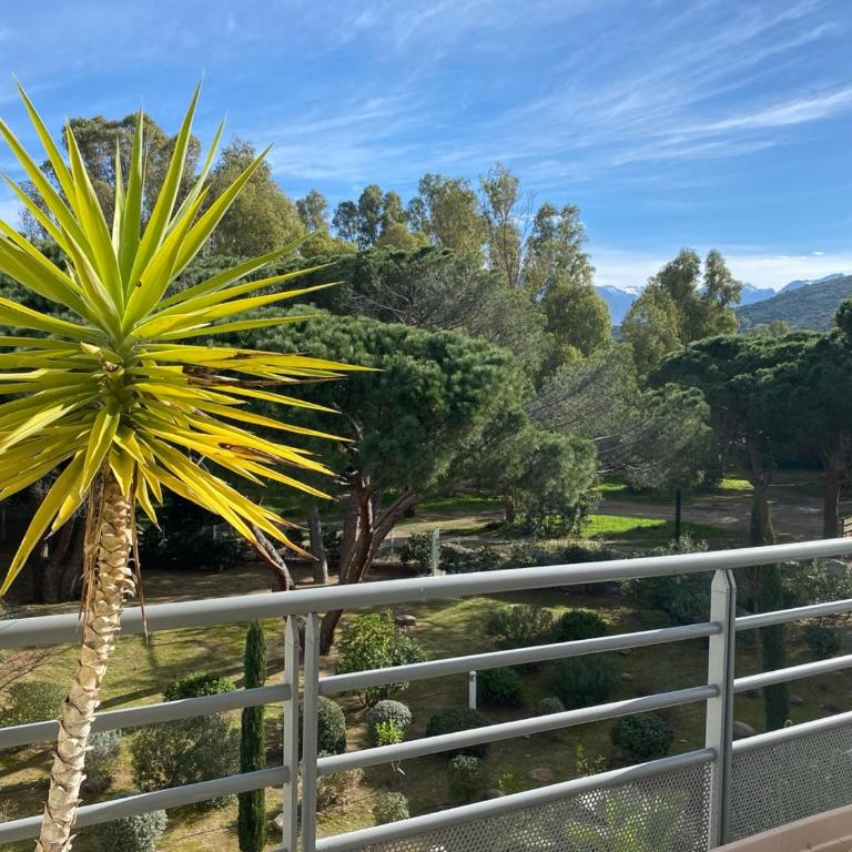Aux rivages de Sylvie - 150 m de la plage - Appartement 1 Chambre - 2