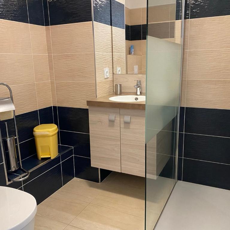 Aux rivages de Sylvie - 150 m de la plage - Appartement 1 Chambre - 17