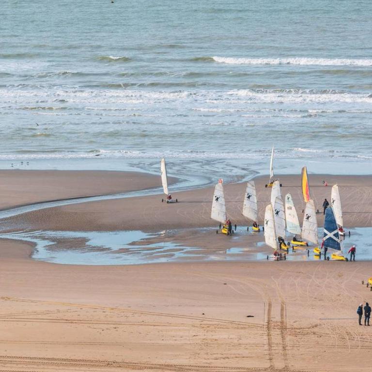Appartement avec Terrasse et Parking au Touquet - FR-1-821-22 - Appartement - 10
