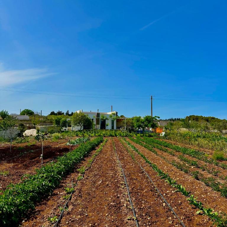 L'Armino villetta vista mare - Casa con 1 Camera da Letto - 21