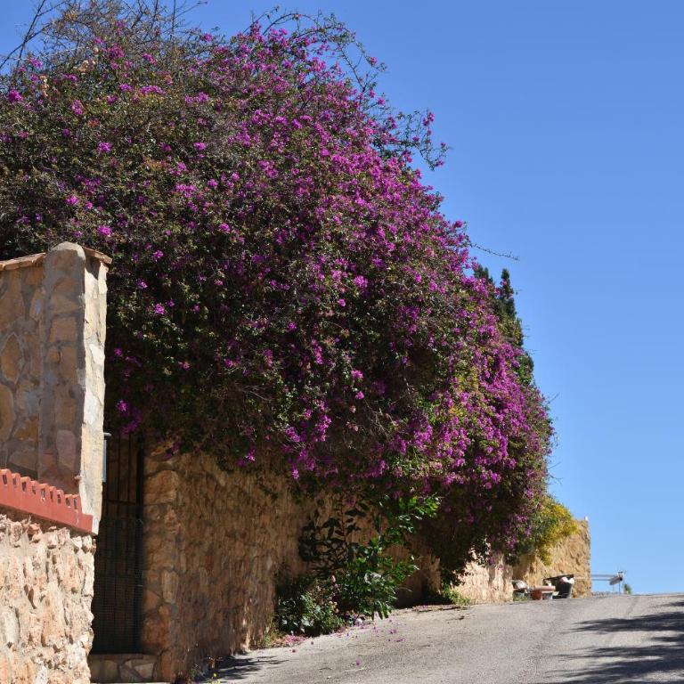 Casa Amor - Two-Bedroom Apartment - 71