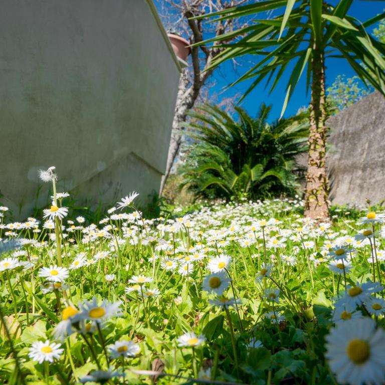 Apartment Lana - Apartman sa 1 Spavaćom Sobom - 37