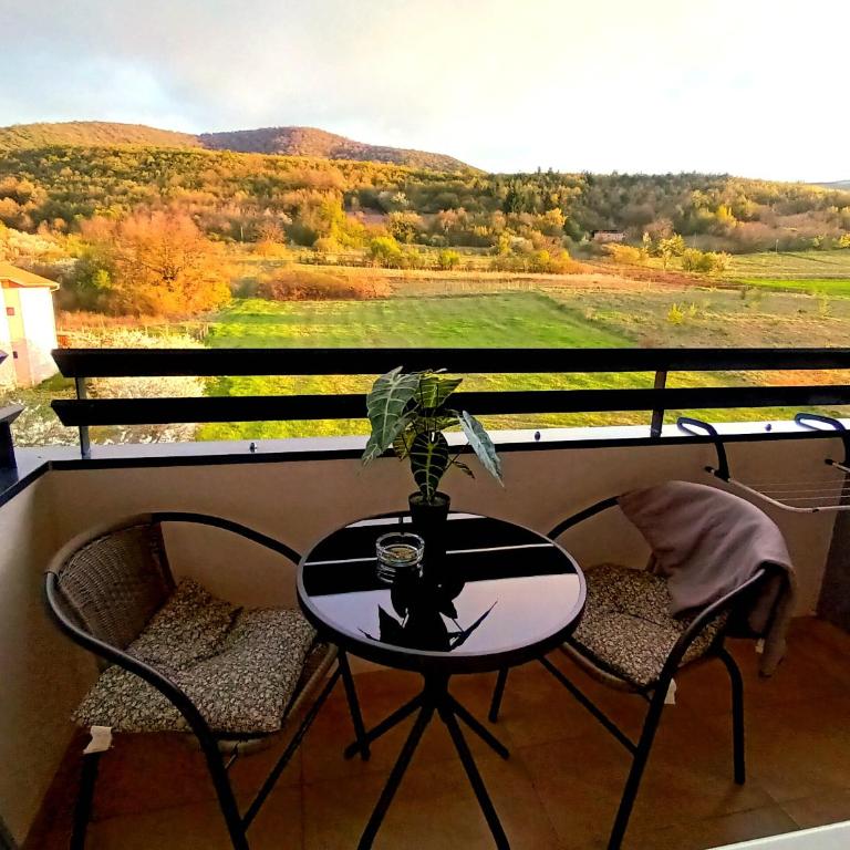Apartman Damjan Sokobanja - Apartman sa 1 Spavaćom Sobom - 31