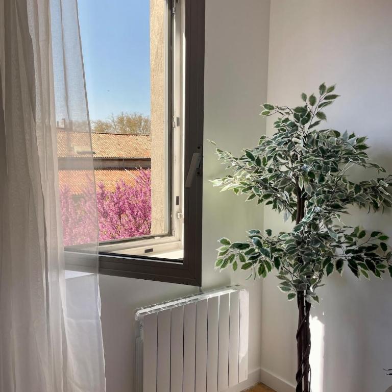 Stylish Apartment with Balcony - Very Central - Long Stays and Pets Welcome - Appartement 1 Chambre - 8