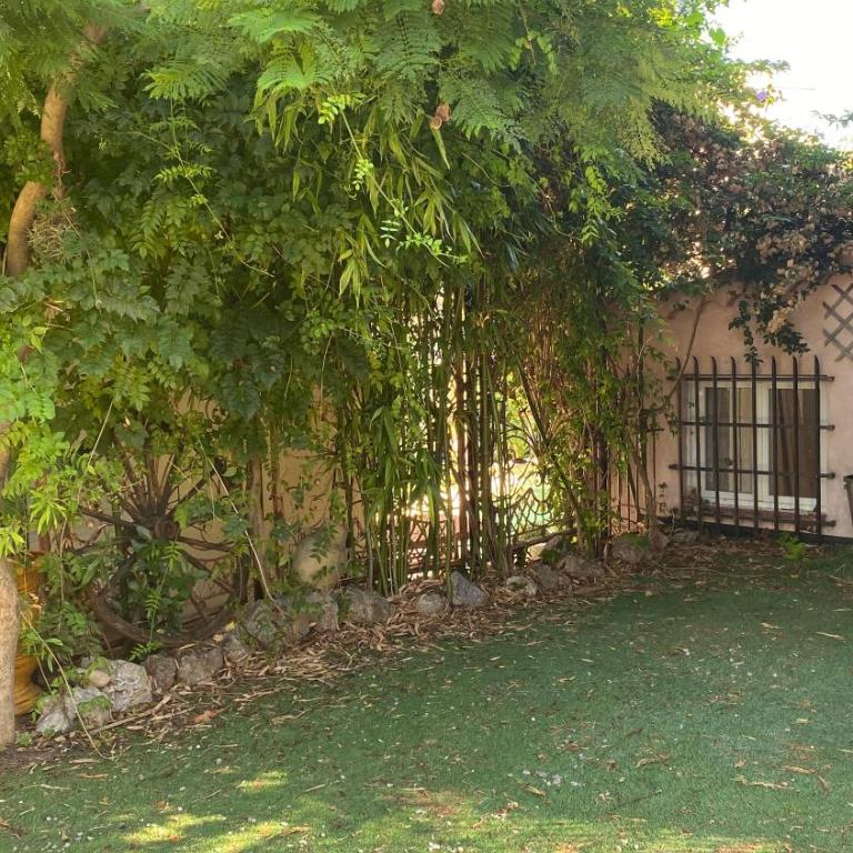 ZEN et COSY, CALME ABSOLU parking privé jardin,ideal proche de Cannes - Maison de Vacances - 16