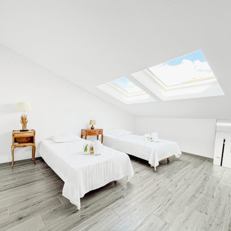 Sky Croisette - Palais des Festivals et des Congrès - Apartment mit 2 Schlafzimmern - 22