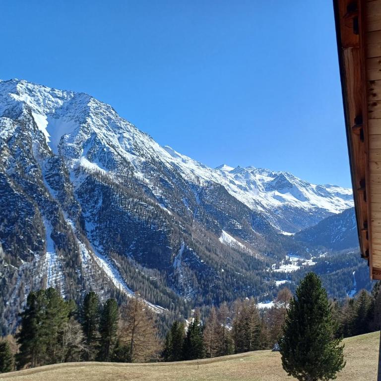 Berggasthof Stallwies - Habitación Doble con vistas a la montaña - 27