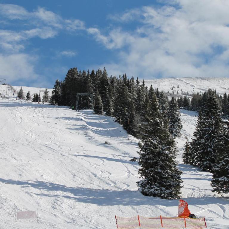 Feriendorf Koralpe Chalet Bergkristall - Chalet mit 3 Schlafzimmern - 12