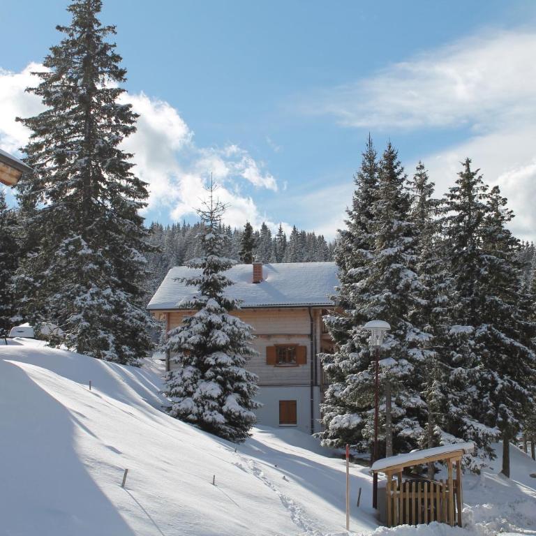 Feriendorf Koralpe Chalet Gamssprung - Chalet mit 3 Schlafzimmern - 9