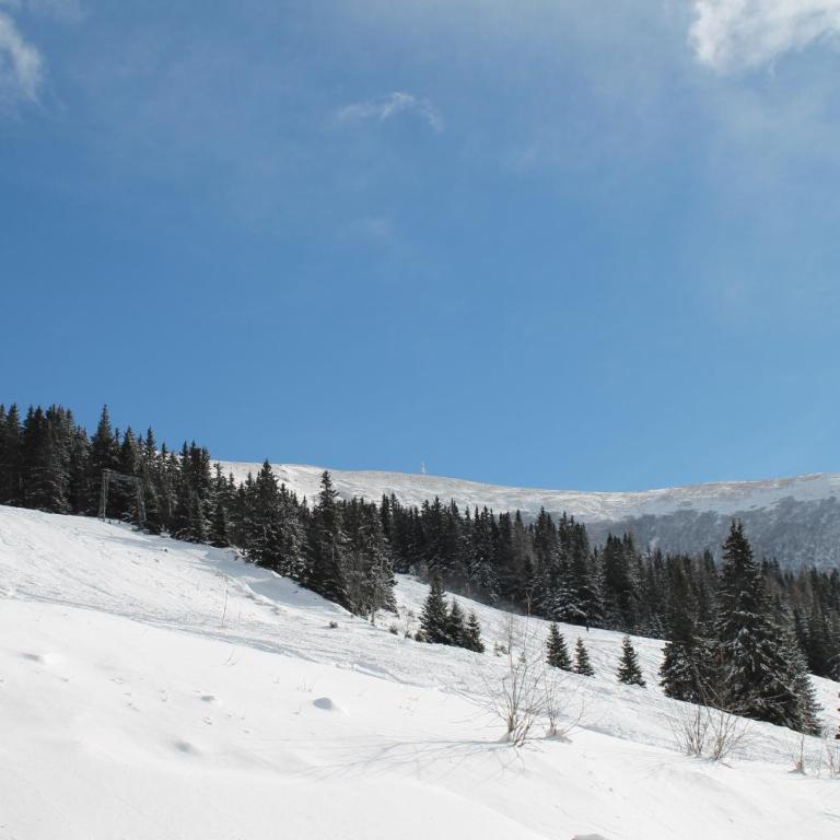 Feriendorf Koralpe Chalet Koralmrose - Chalet con 3 Camere da Letto - 10