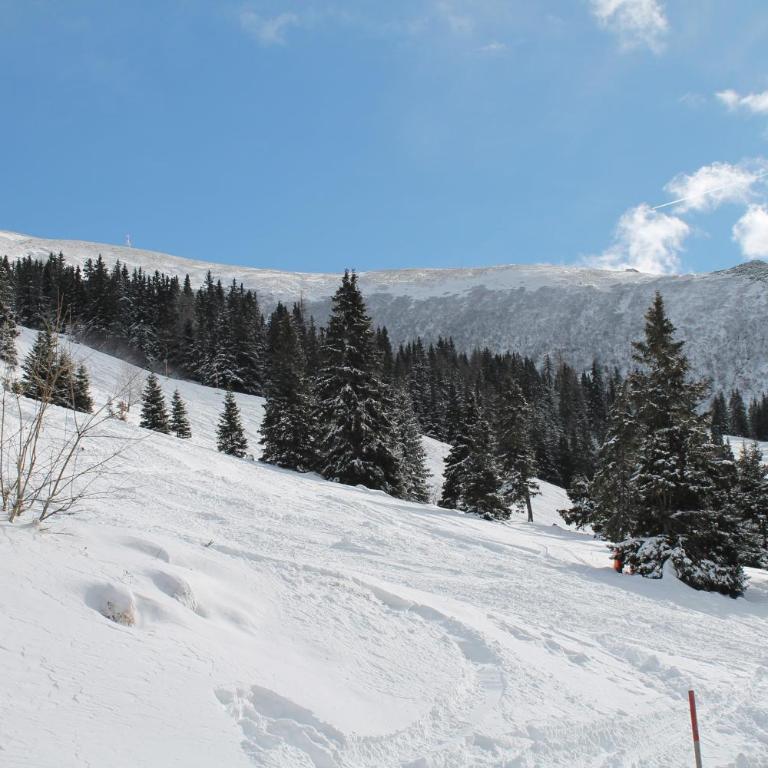 Feriendorf Koralpe Chalet Enzian - Chalet mit 3 Schlafzimmern - 55