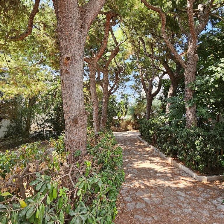 Villa Ceratonia - Villa con 2 Camere da Letto - 6