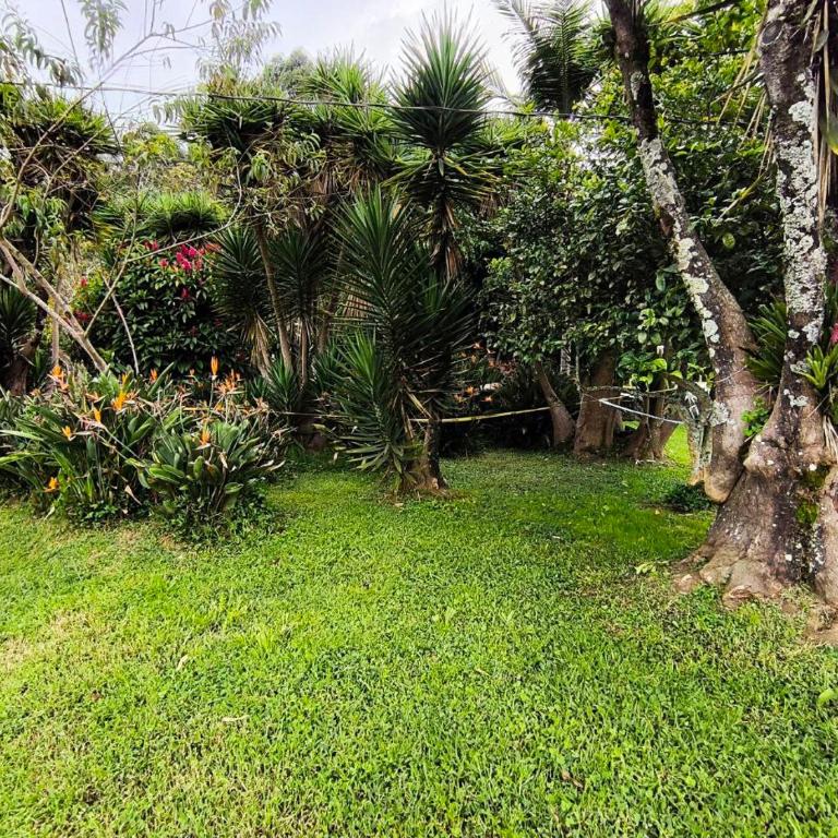 Apartamento Acogedor en la ceja Antioquia - Apartamento - Planta baja - 41