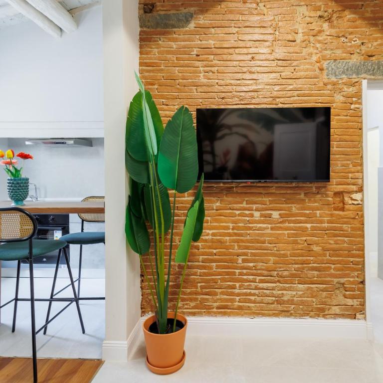 Jungle flat - Appartamento con 1 Camera da Letto - 4