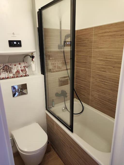 Charmant Studio -La Foux d'Allos - Appartement 1 Chambre - 6