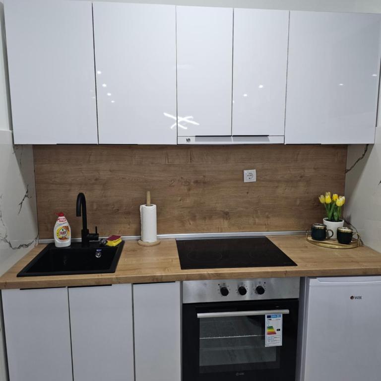 Centar - Apartman sa 1 Spavaćom Sobom - 27