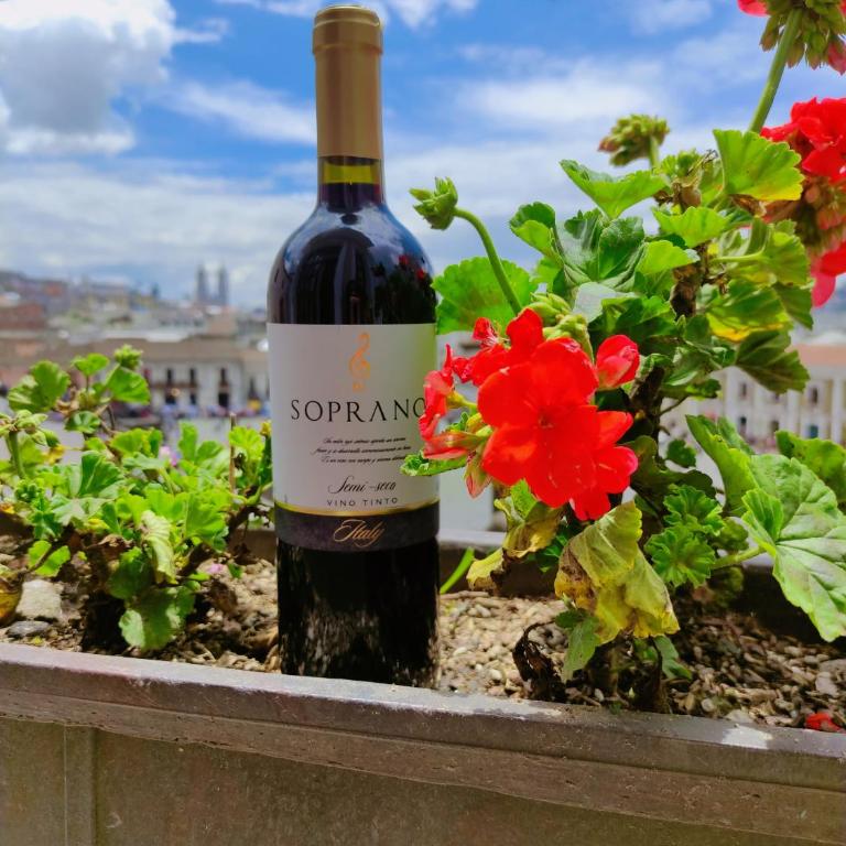 Hotel Sucre - Deluxe Suite - 6