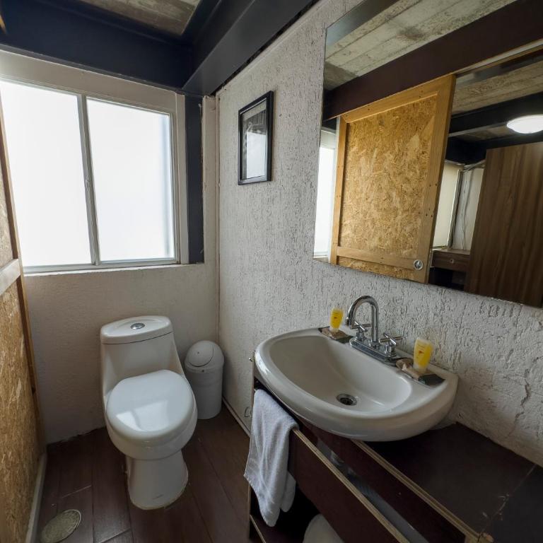 Dowtown lofts by flor y tierra - Apartment with Balcony - 9