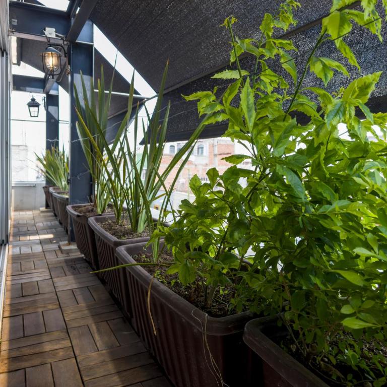 Dowtown lofts by flor y tierra - Apartment with Balcony - 7