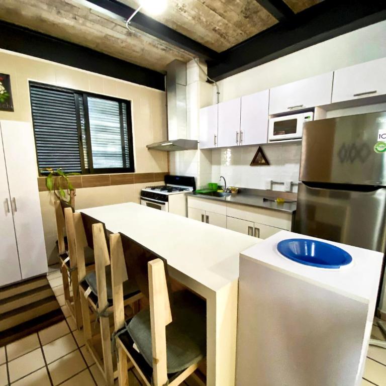Dowtown lofts by flor y tierra - Classic Apartment - 4