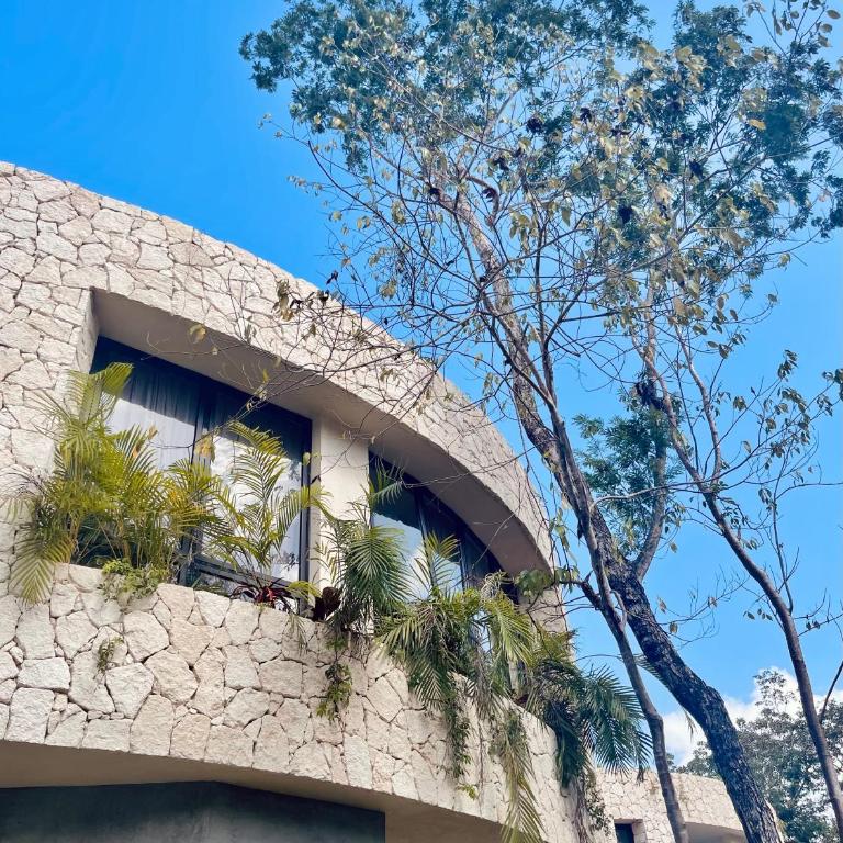 Round Luxury Villa Private Pool & Jungle rooftop 2B - Villa con piscina privada - 8