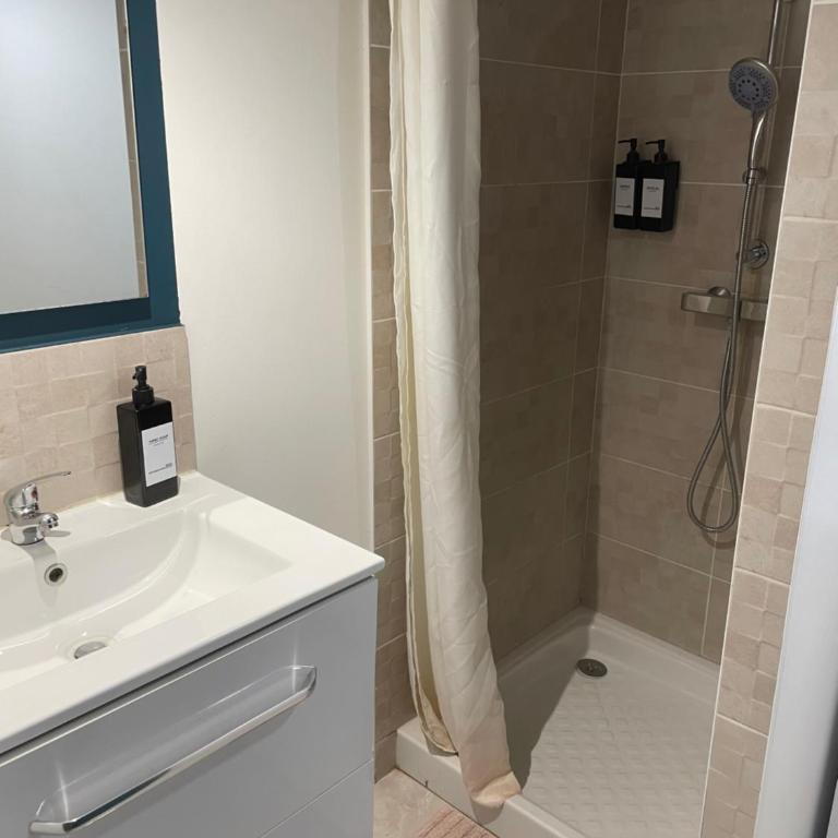 CHARMANT STUDIO proximité GARE LYON PART-DEU - Apartment mit 1 Schlafzimmer - 4
