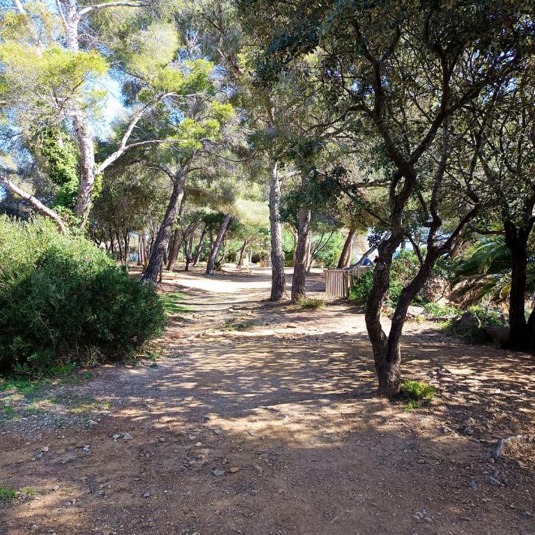 Appartement au Hameau des Issambres Le Pamakior - Appartement - Rez-de-Chaussée - 30