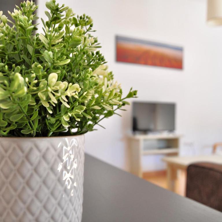 Apartamento en Casa Palacio- Centro Sanlucar - Apartamento de 1 dormitorio - 26