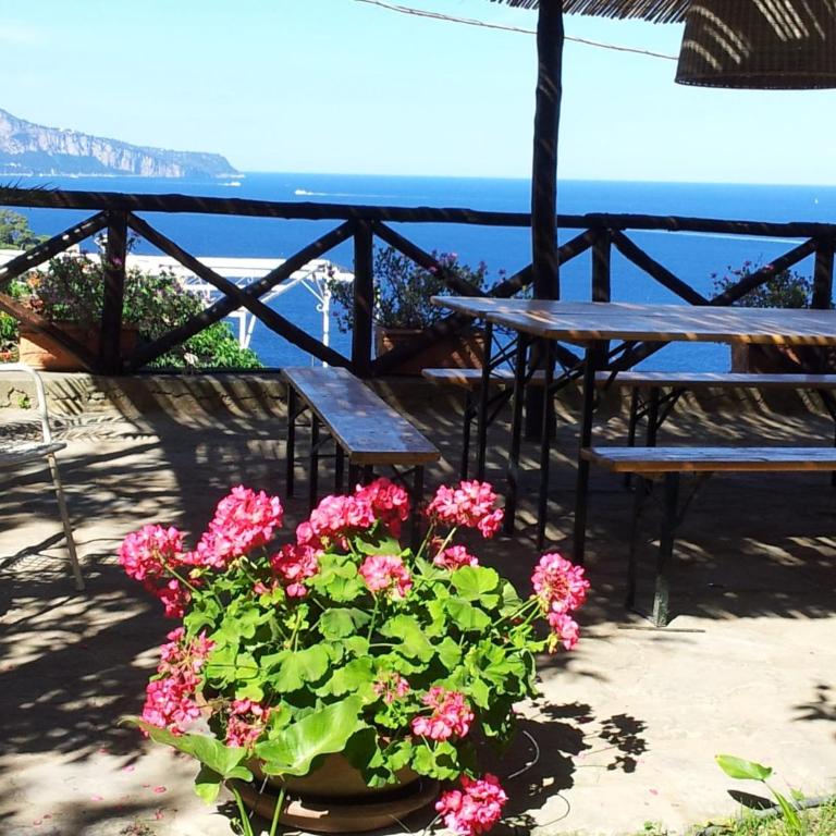 Blu Home - Two-Bedroom Chalet - 2