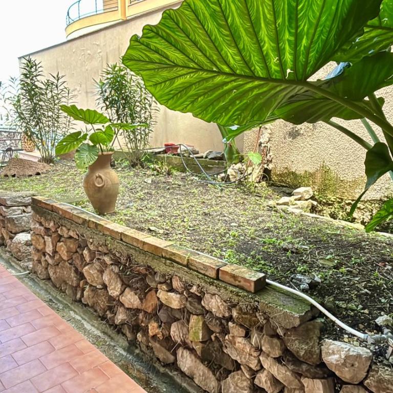 Bidduzza House - One-Bedroom Apartment - 3