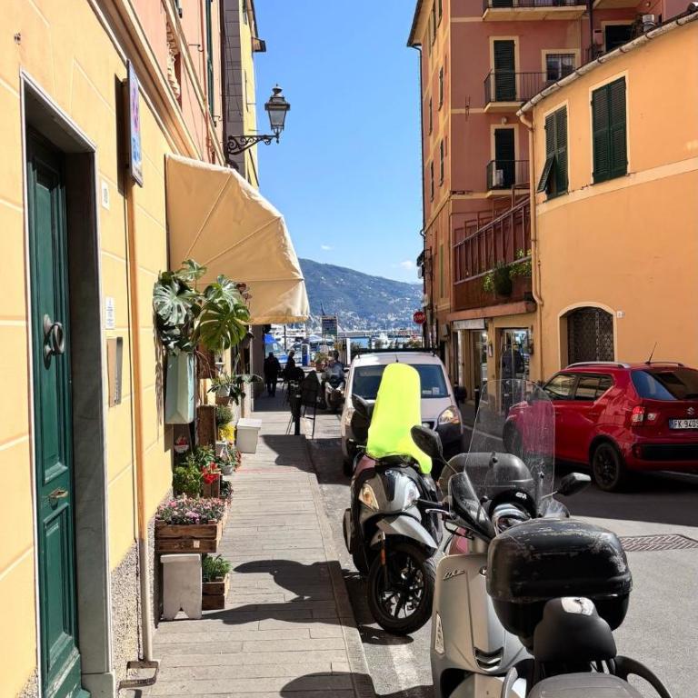ComeCasa Terraced 3 Bedrooms Port View - Appartamento - 39