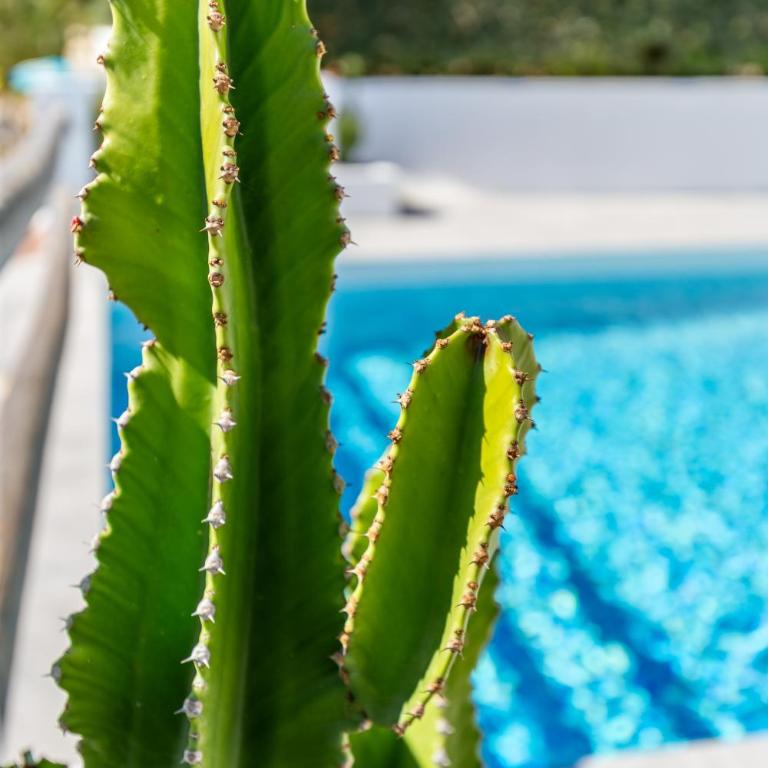 Villa Soleste Jávea - Villa - 21