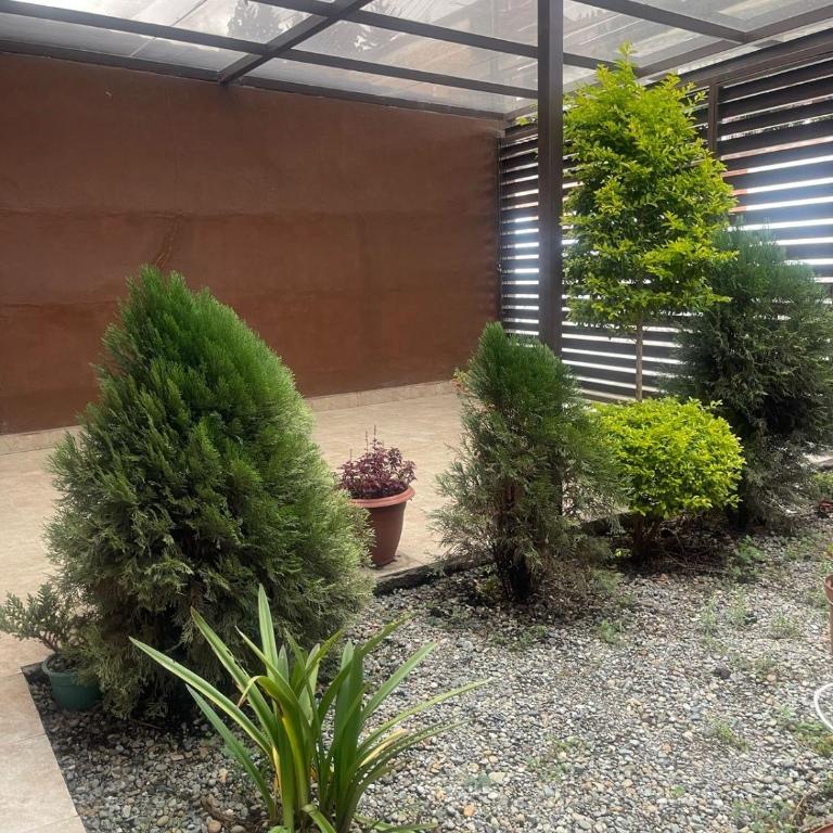 Tú hogar lejos de casa - Casa con 1 dormitorio - 3