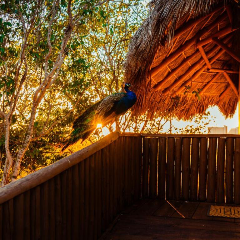 Palm Valley Cabins - Deluxe Double Room with Balcony - 9