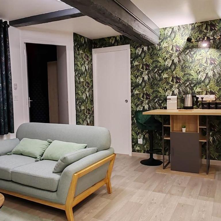 L'Oasis Amiénoise - Le Quai Amiénois - Apartment mit 1 Schlafzimmer - 3