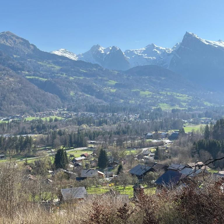 Chalet, vue sur la vallée, Domaine skiable Grand Massif - Chalet - 7