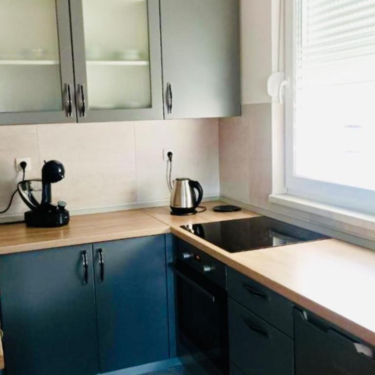 Apartman Ema - Apartman sa 1 Spavaćom Sobom - 7