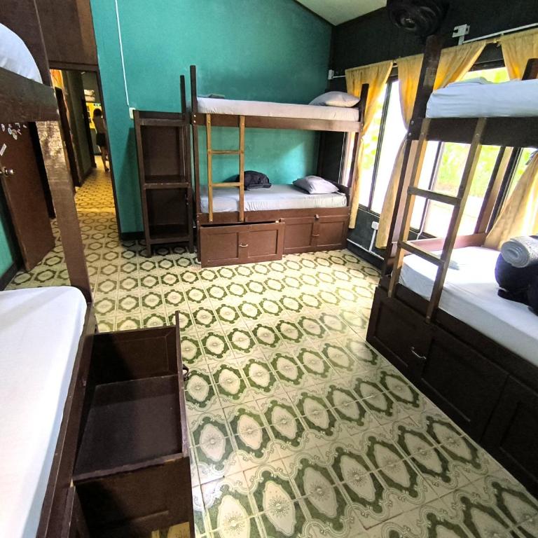 Hostel Casa de las Palmas Tours - Cama Individual en dormitorio compartido de 6 camas - 4