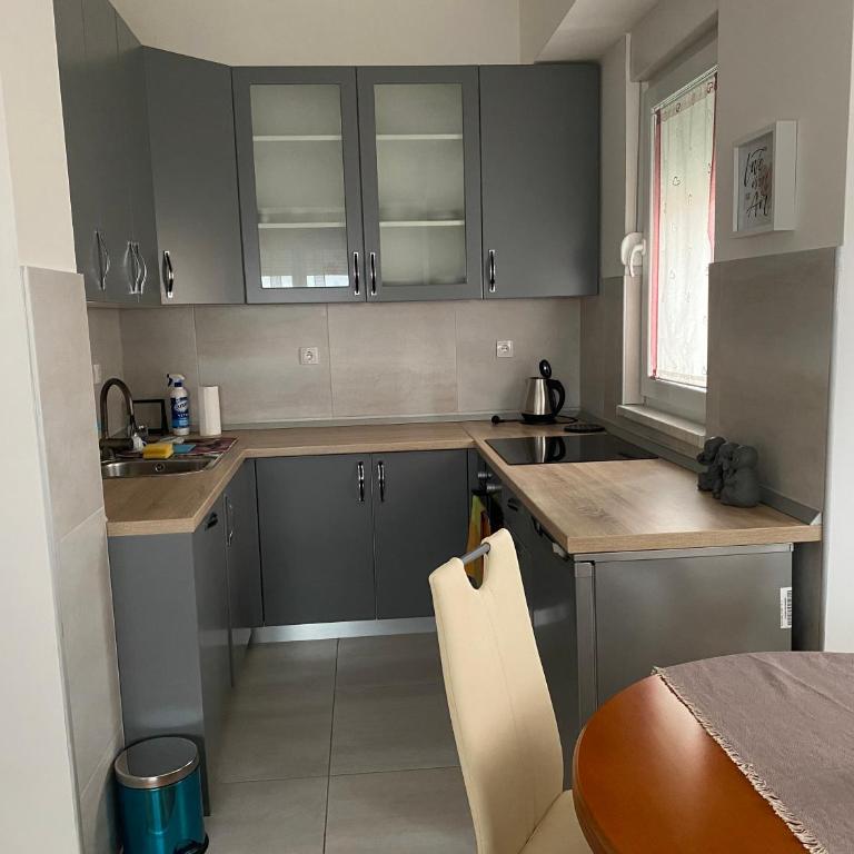 Apartman Ema - Apartman sa 1 Spavaćom Sobom - 10