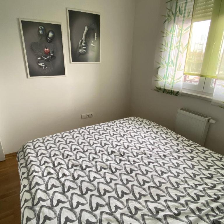 Apartman Ema - Apartman sa 1 Spavaćom Sobom - 16