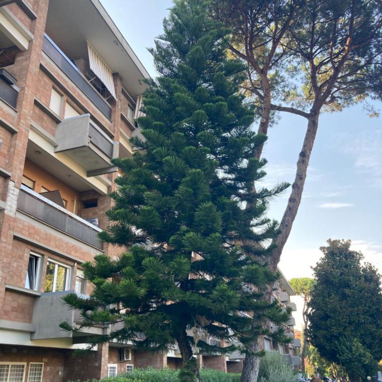 Terracito! - Appartamento con 1 Camera da Letto - 2